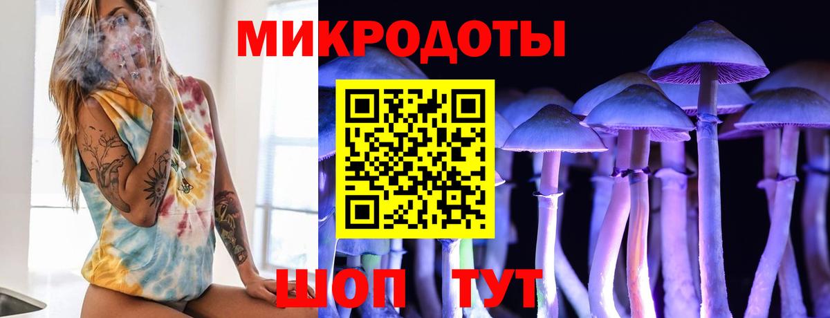 Гусиноозёрск  Галлюциногенные грибы Cubensis  Вход с VPN 
